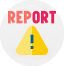 Report